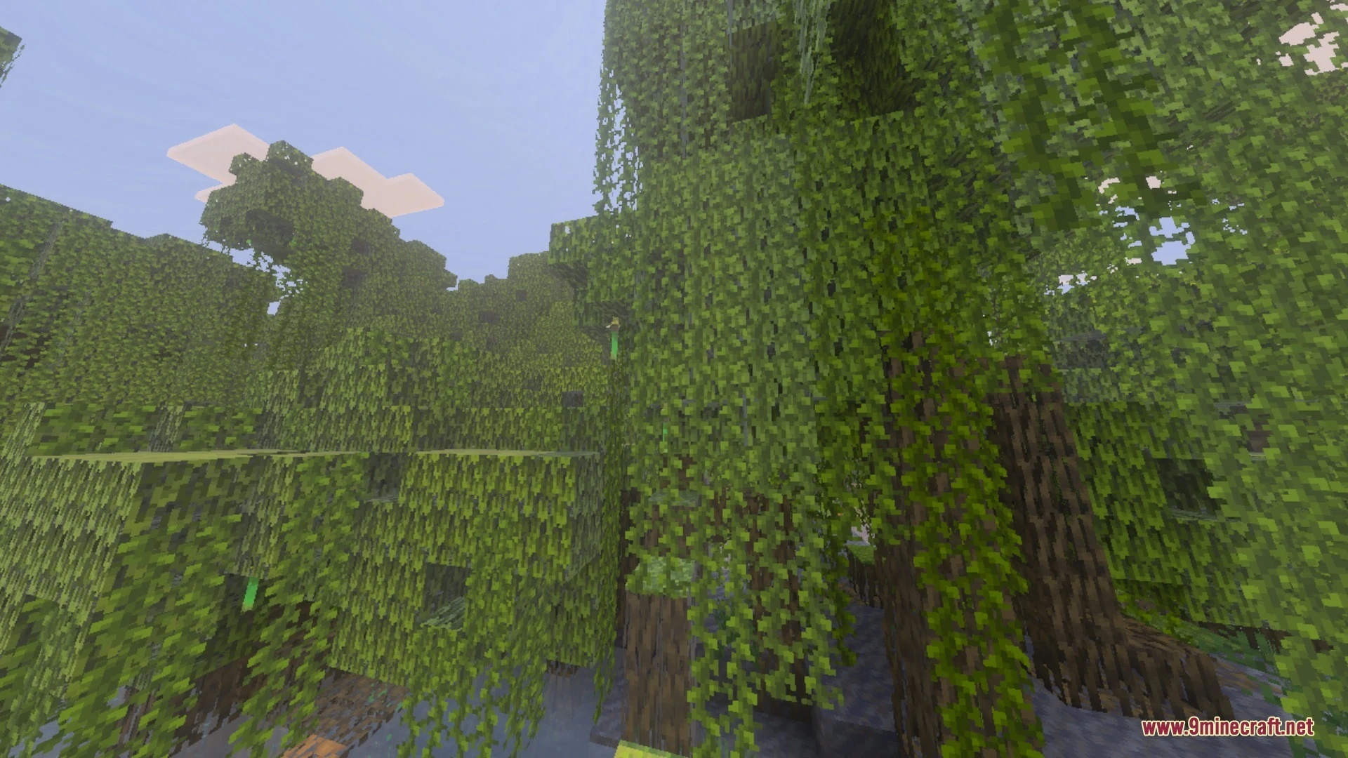 Orange Birch by Kazuma13 Shader (26.x) – Autumn Birch Leaves for Vibrant Visuals — screenshot 3