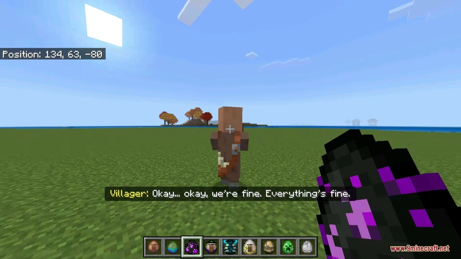 Social Villagers Addon (26.x) – Expressive Faces and Voice Lines for Villagers — screenshot 3