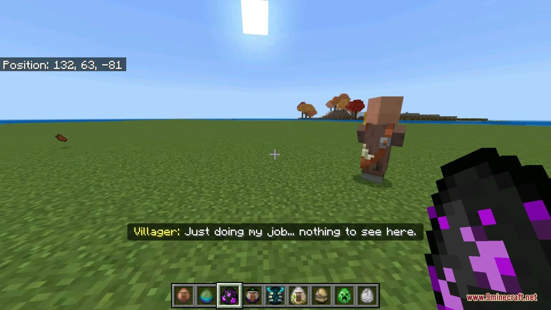 Social Villagers Addon (26.x) – Expressive Faces and Voice Lines for Villagers — screenshot 4