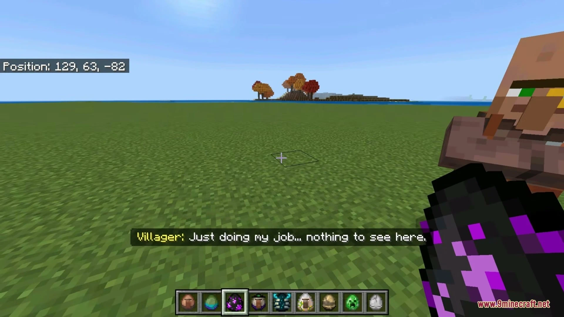 Social Villagers Addon (26.x) – Expressive Faces and Voice Lines for Villagers — screenshot 5