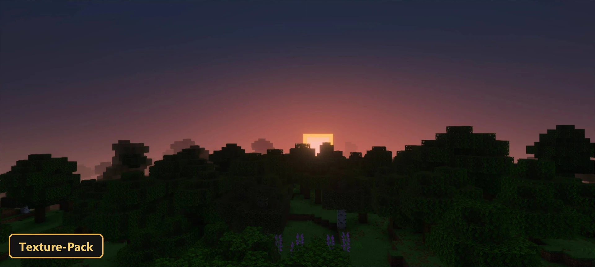 DYNAMIC VIEW (26+) – MCPE/Bedrock Texture Pack — screenshot 1