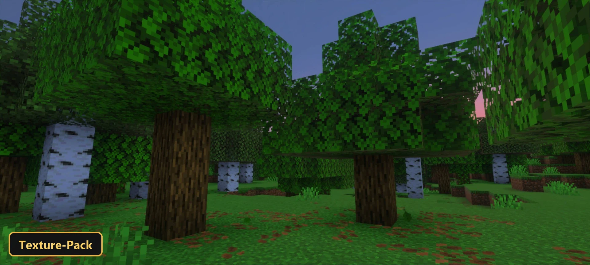 DYNAMIC VIEW (26+) – MCPE/Bedrock Texture Pack — screenshot 4
