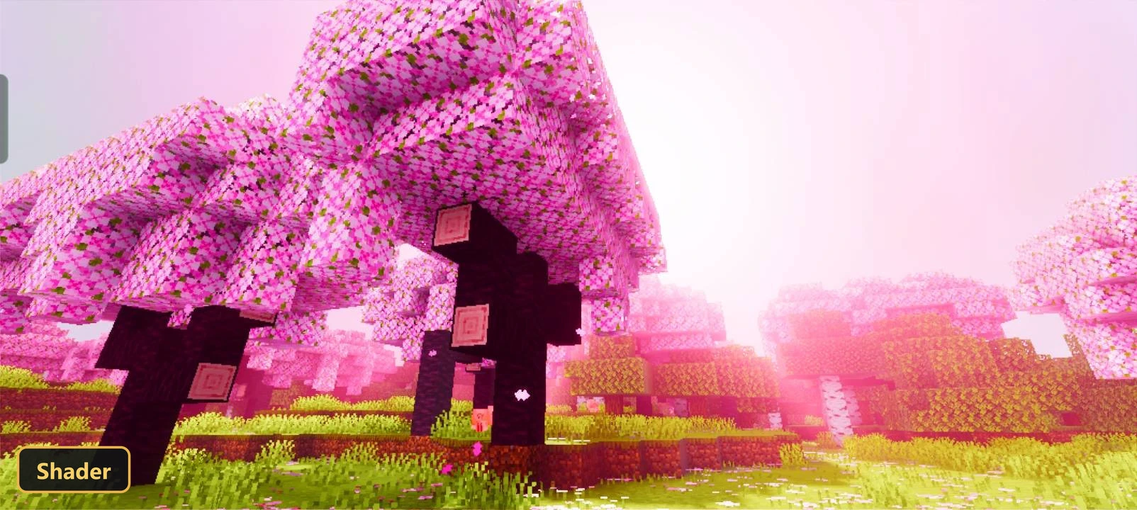 Zyra Visuals (26+, 1.21) – MCPE/Bedrock Shader — screenshot 6