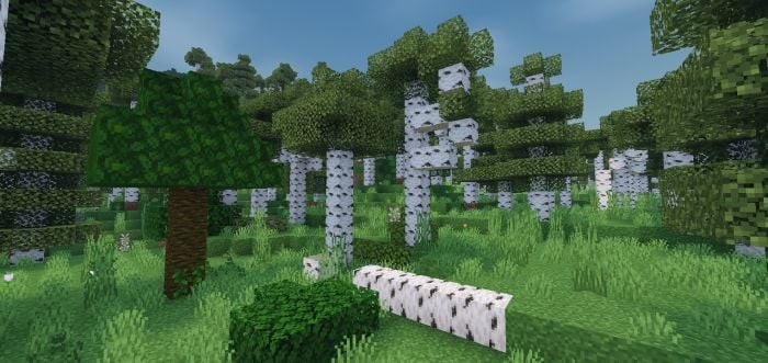 Forsaken Odyssey Addon (26.x, 1.21) – MCPE/Bedrock Fantasy Modpack — screenshot 5