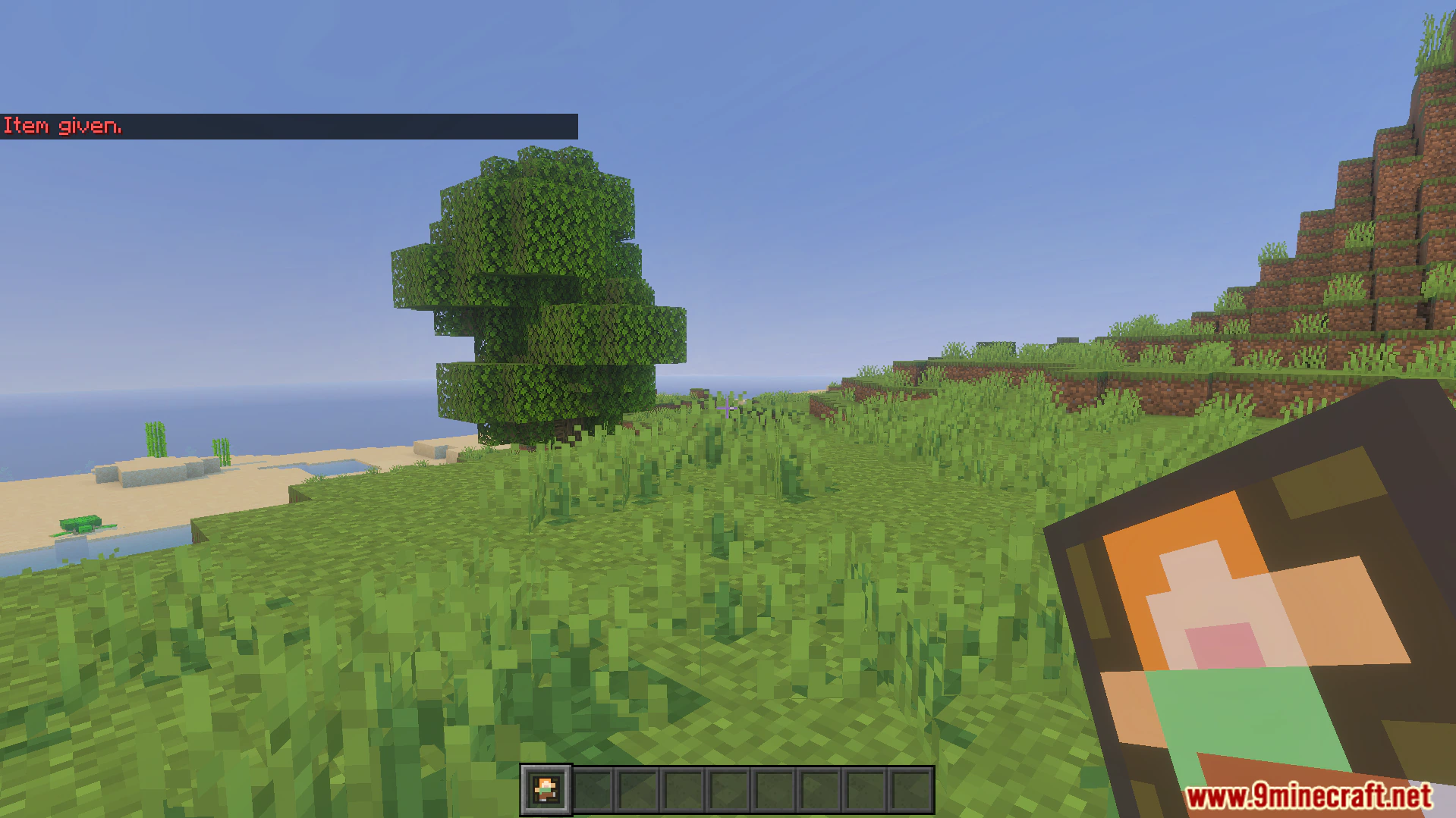Not Enough Emotes Addon (26.x, 1.21) – Play Custom Dances And Character Animations — screenshot 3