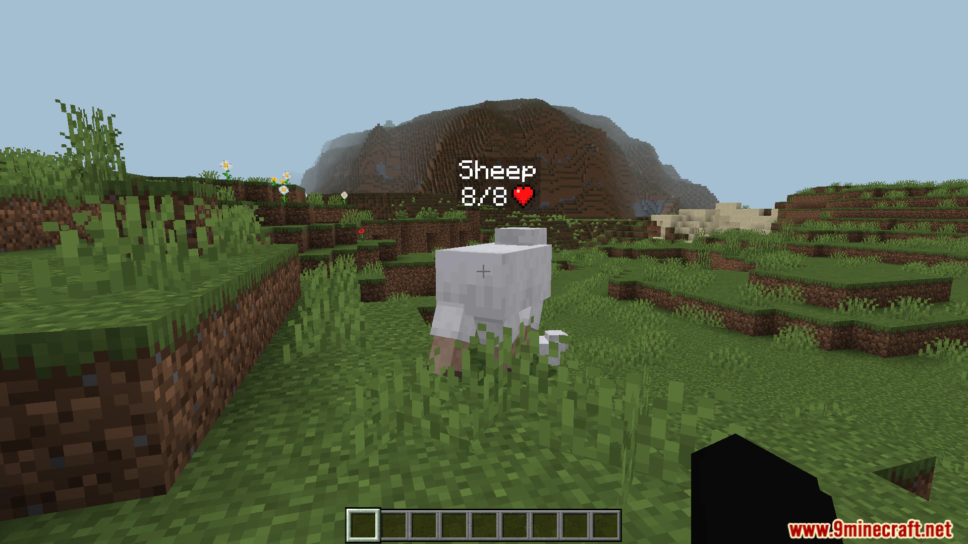 Simple Health Indicator Addon (26.x, 1.21) – Display Floating Health Bars Above Entities — screenshot 1