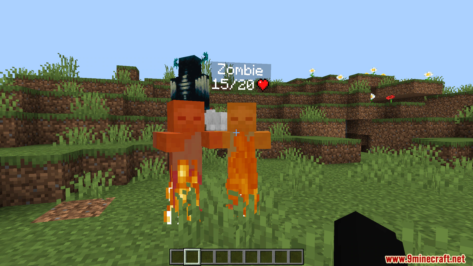 Simple Health Indicator Addon (26.x, 1.21) – Display Floating Health Bars Above Entities — screenshot 4