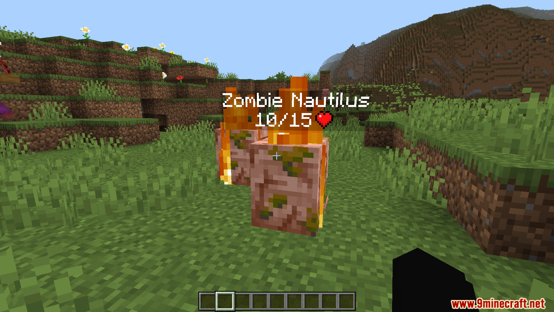 Simple Health Indicator Addon (26.x, 1.21) – Display Floating Health Bars Above Entities — screenshot 5