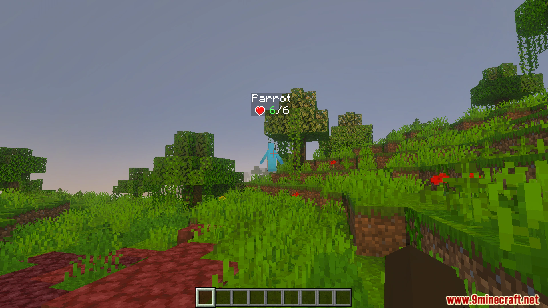 DHealth And Damage Bar Addon (26.x, 1.21) – Track Live Mob Health And Damage Numbers — screenshot 1