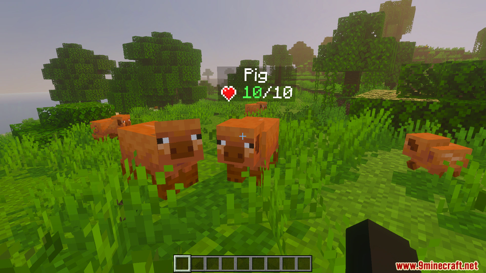 DHealth And Damage Bar Addon (26.x, 1.21) – Track Live Mob Health And Damage Numbers — screenshot 2