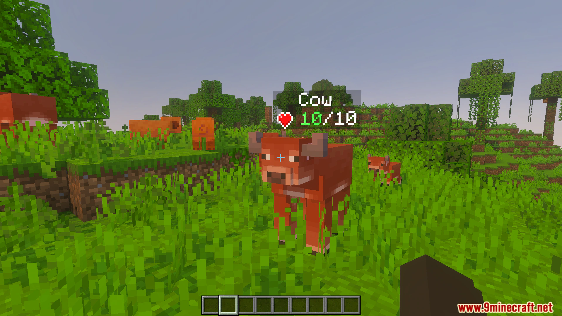 DHealth And Damage Bar Addon (26.x, 1.21) – Track Live Mob Health And Damage Numbers — screenshot 3