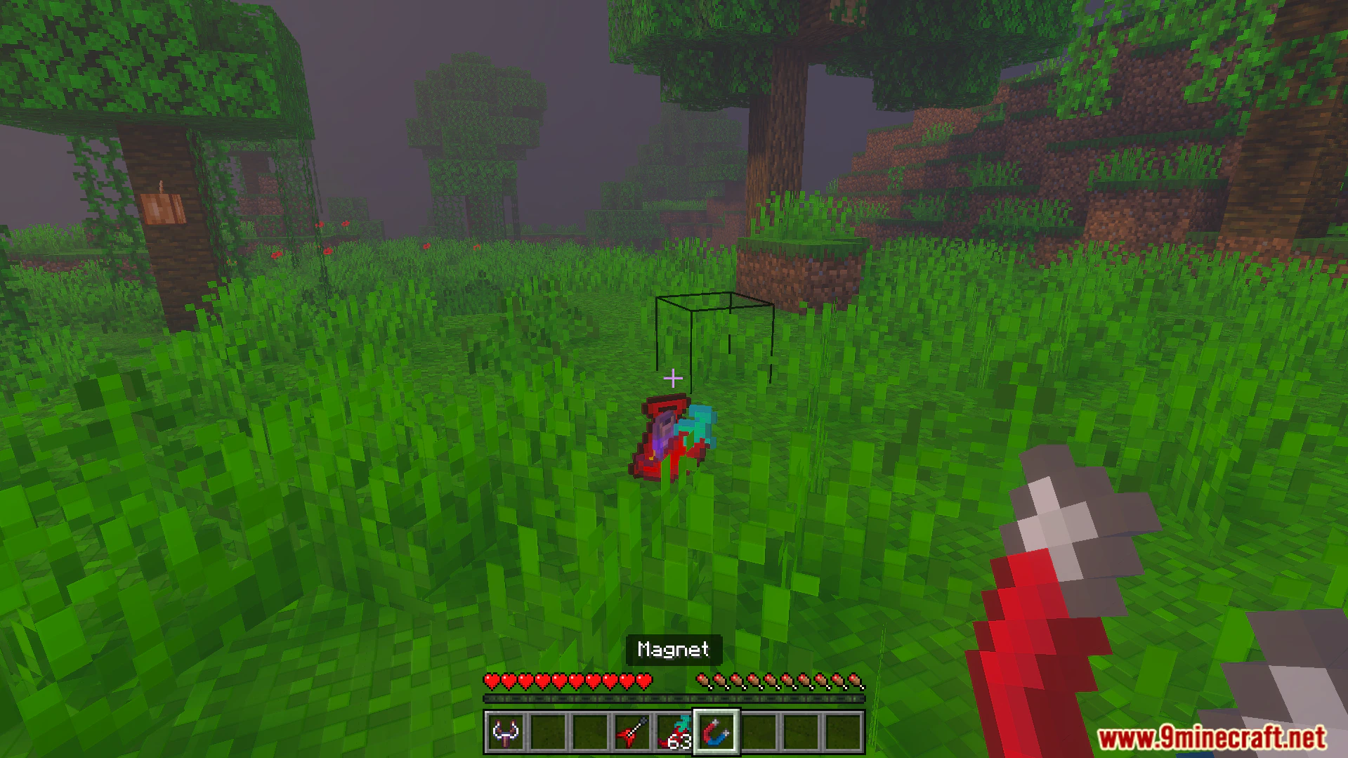 Euforias Items Addon (26.x, 1.21) – Over 100 New Magic Items, Tools and Potions — screenshot 3