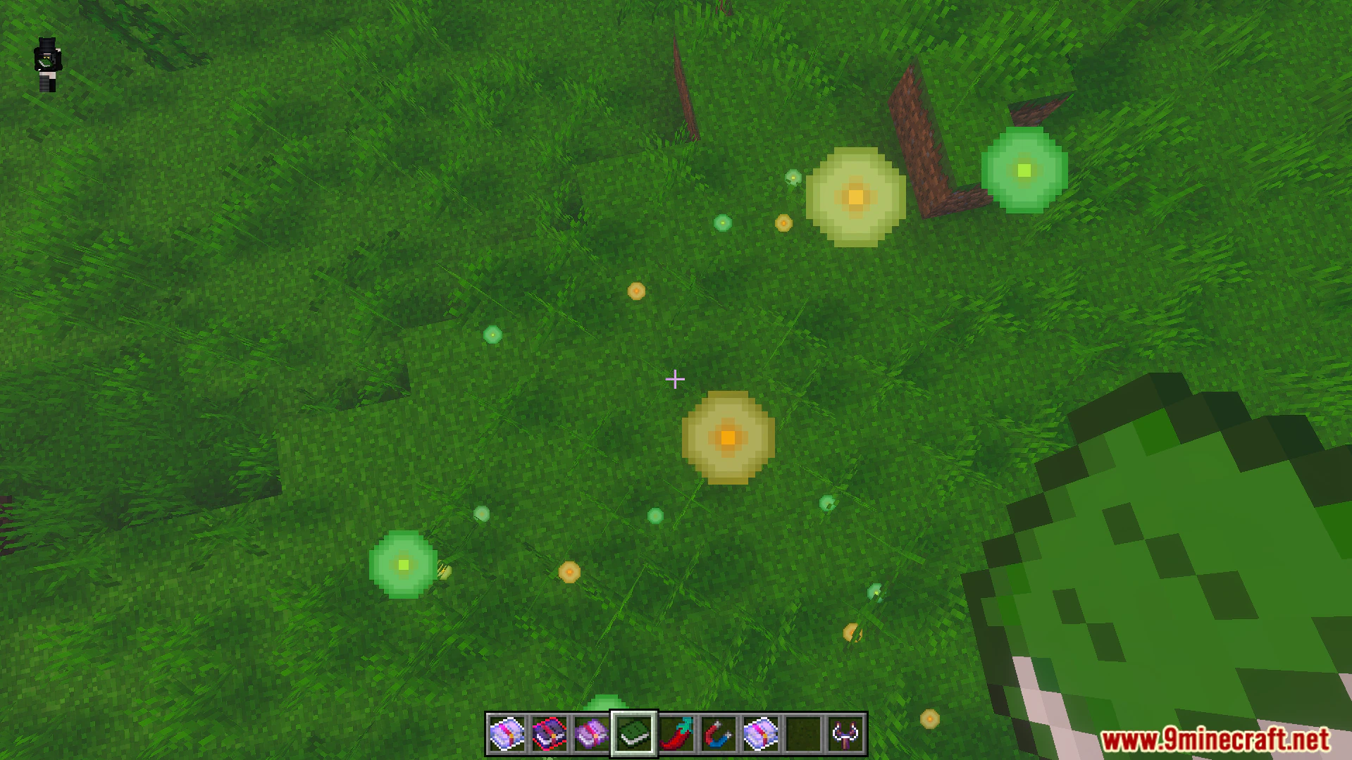Euforias Items Addon (26.x, 1.21) – Over 100 New Magic Items, Tools and Potions — screenshot 4