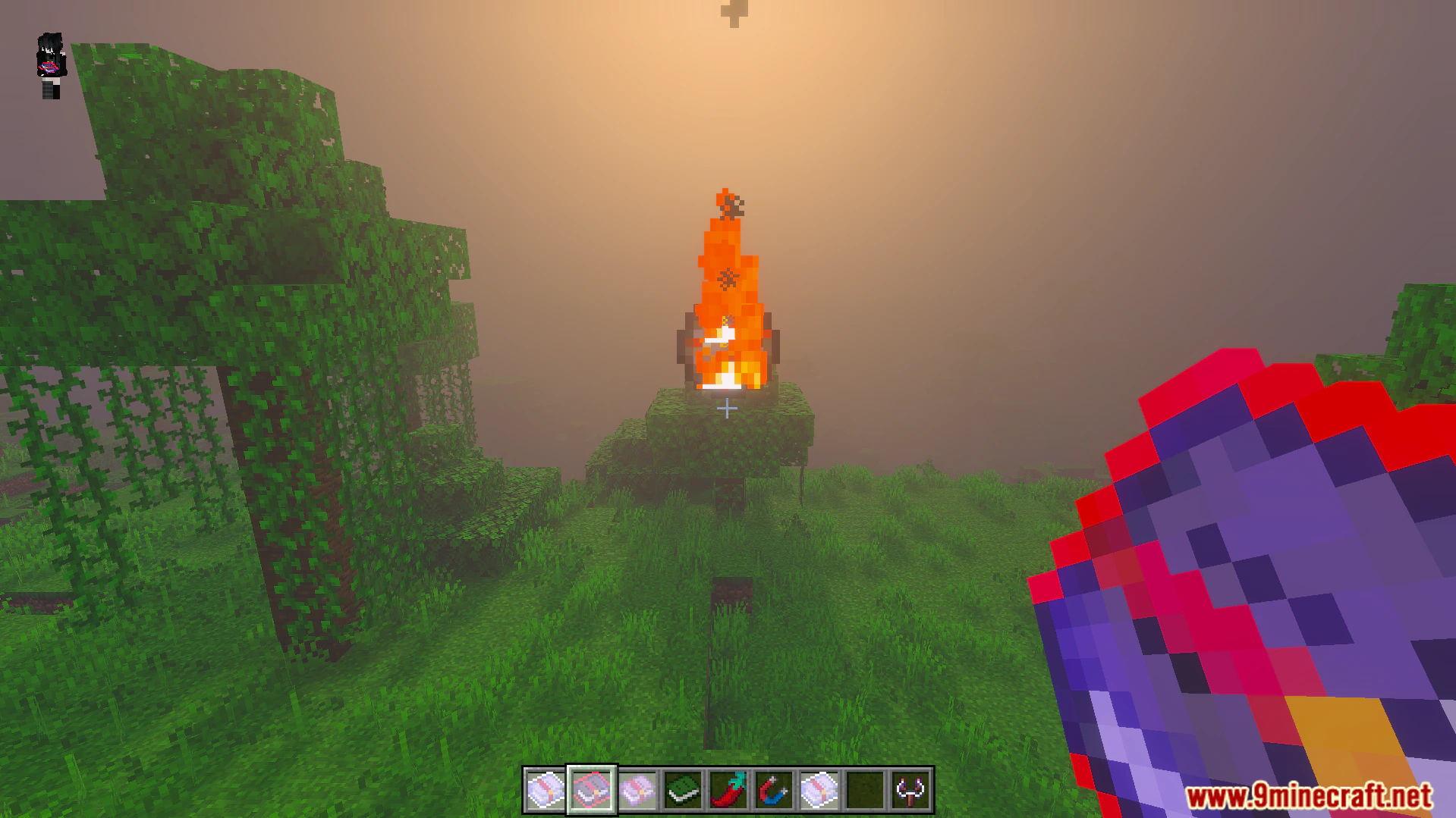 Euforias Items Addon (26.x, 1.21) – Over 100 New Magic Items, Tools and Potions — screenshot 6