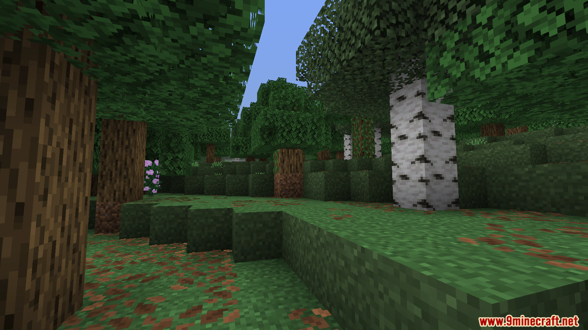 Feather FPS Boost Addon (26.x, 1.21) – Boost Frame Rates And Reduce Lag On Older Devices — screenshot 6
