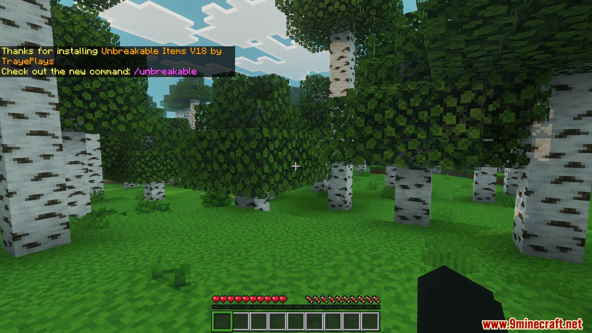 TrayePlays Unbreakable Items Addon (26.x) – Remove Tool And Weapon Durability Limits — screenshot 2