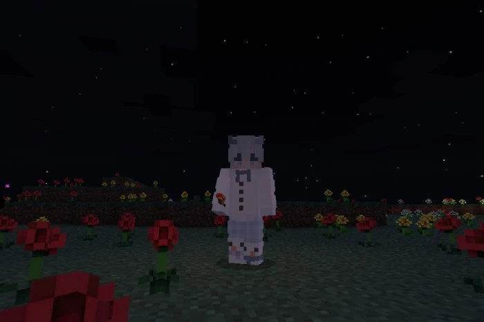 Raiyon's Dynamic Lighting Addon (26.x, 1.21) – MCPE/Bedrock Mod — screenshot 3