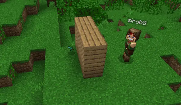 Holograms on Dropped Items Addon (26.x, 1.21) – MCPE/Bedrock — screenshot 1