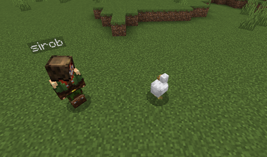 Pick Up & Carry Addon (26.x, 1.21) – MCPE/Bedrock Mod — screenshot 1