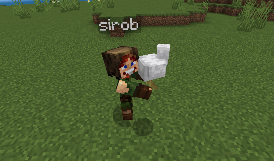 Pick Up & Carry Addon (26.x, 1.21) – MCPE/Bedrock Mod — screenshot 3