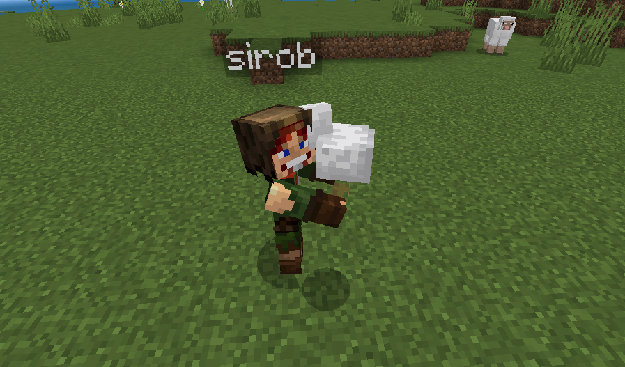 Pick Up & Carry Addon (26.x, 1.21) – MCPE/Bedrock Mod — screenshot 4