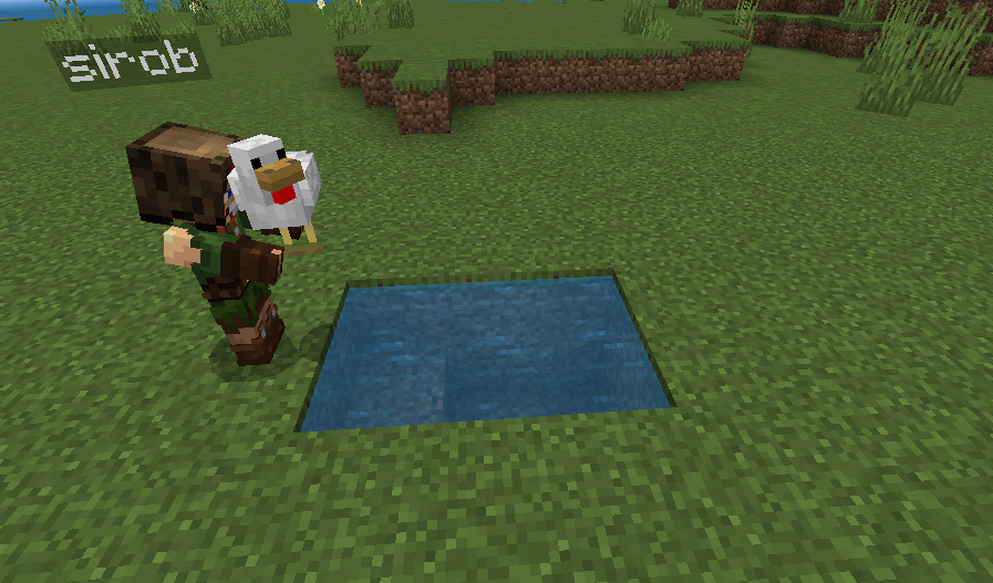 Pick Up & Carry Addon (26.x, 1.21) – MCPE/Bedrock Mod — screenshot 5