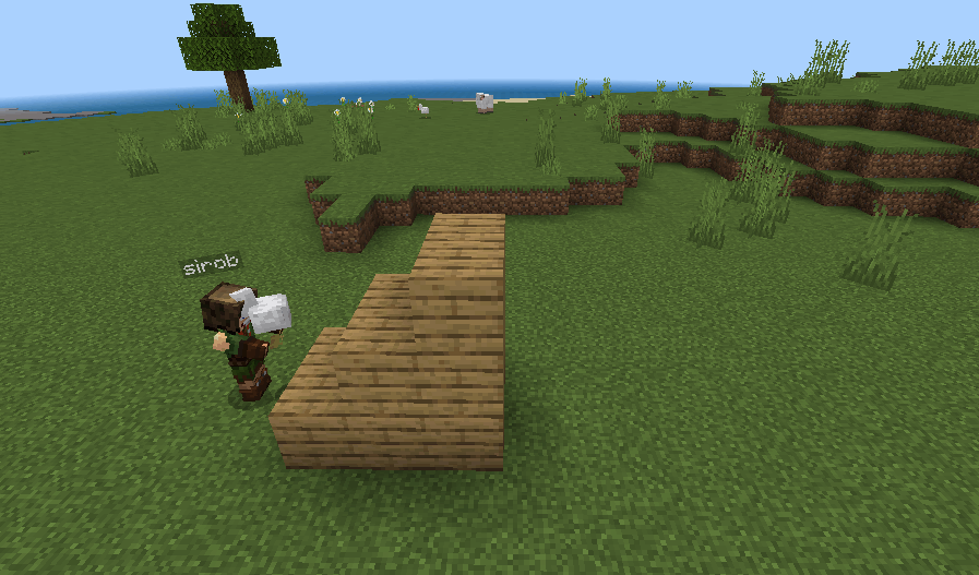 Pick Up & Carry Addon (26.x, 1.21) – MCPE/Bedrock Mod — screenshot 6