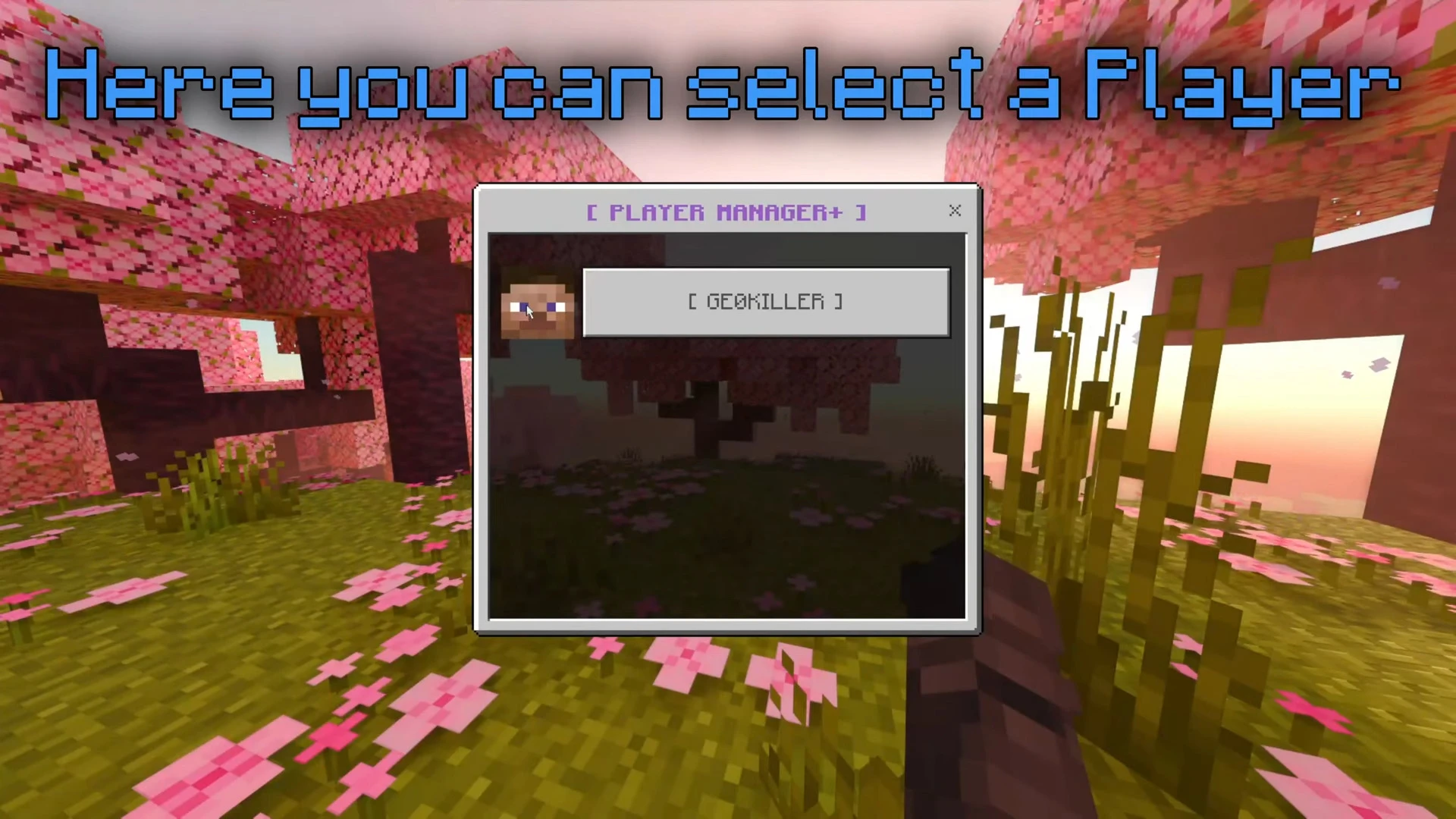 Better Chat Ranks Addon (26.x, 1.21) – MCPE/Bedrock Mod — screenshot 1