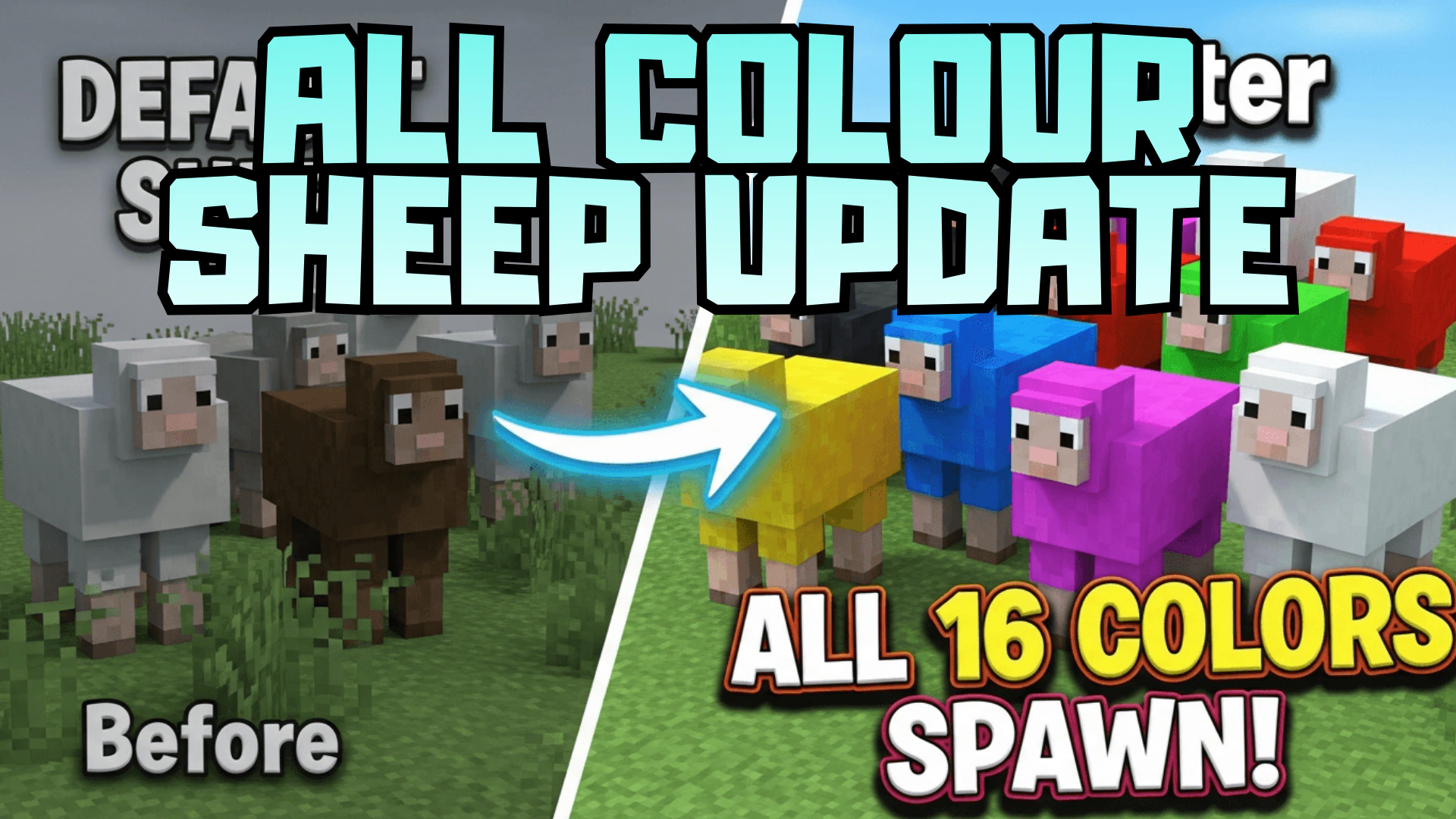 All Colour Sheep Update Addon (1.21) – MCPE/Bedrock