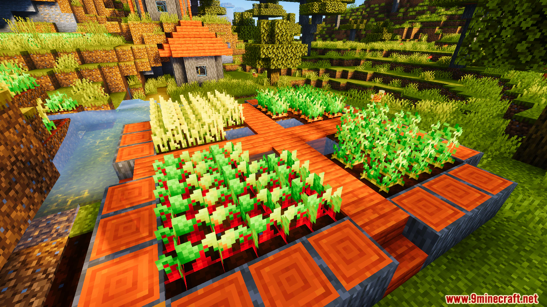Ready Crops Plus Texture Pack (26.x, 1.21) – Glowing Animations For Fully Grown Farm Crops — screenshot 4