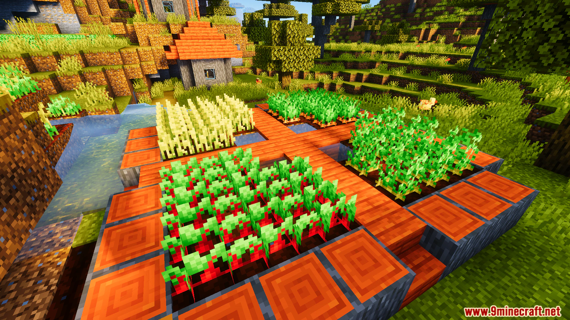 Ready Crops Plus Texture Pack (26.x, 1.21) – Glowing Animations For Fully Grown Farm Crops — screenshot 5