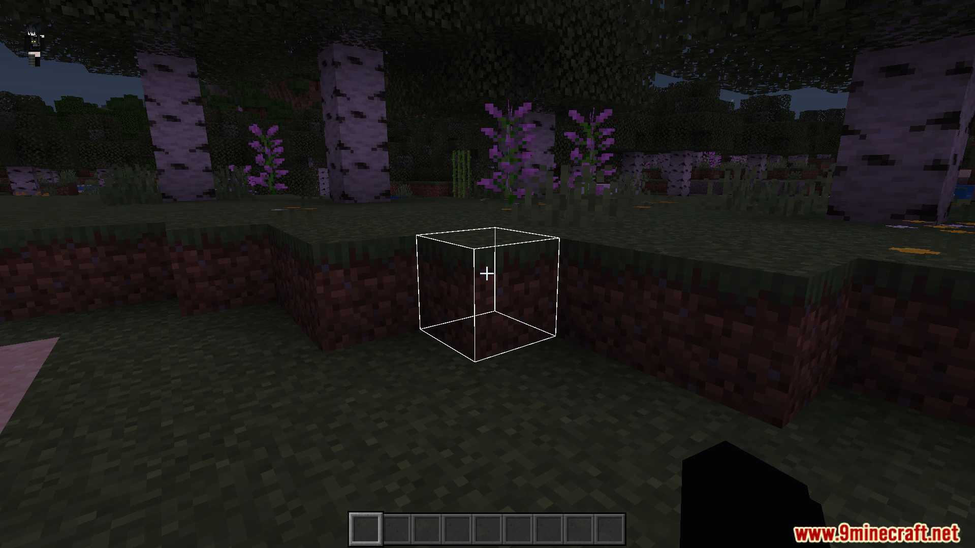 White 3D Outline Texture Pack (26.x, 1.21) – Glowing White Outlines For Blocks And Items — screenshot 1