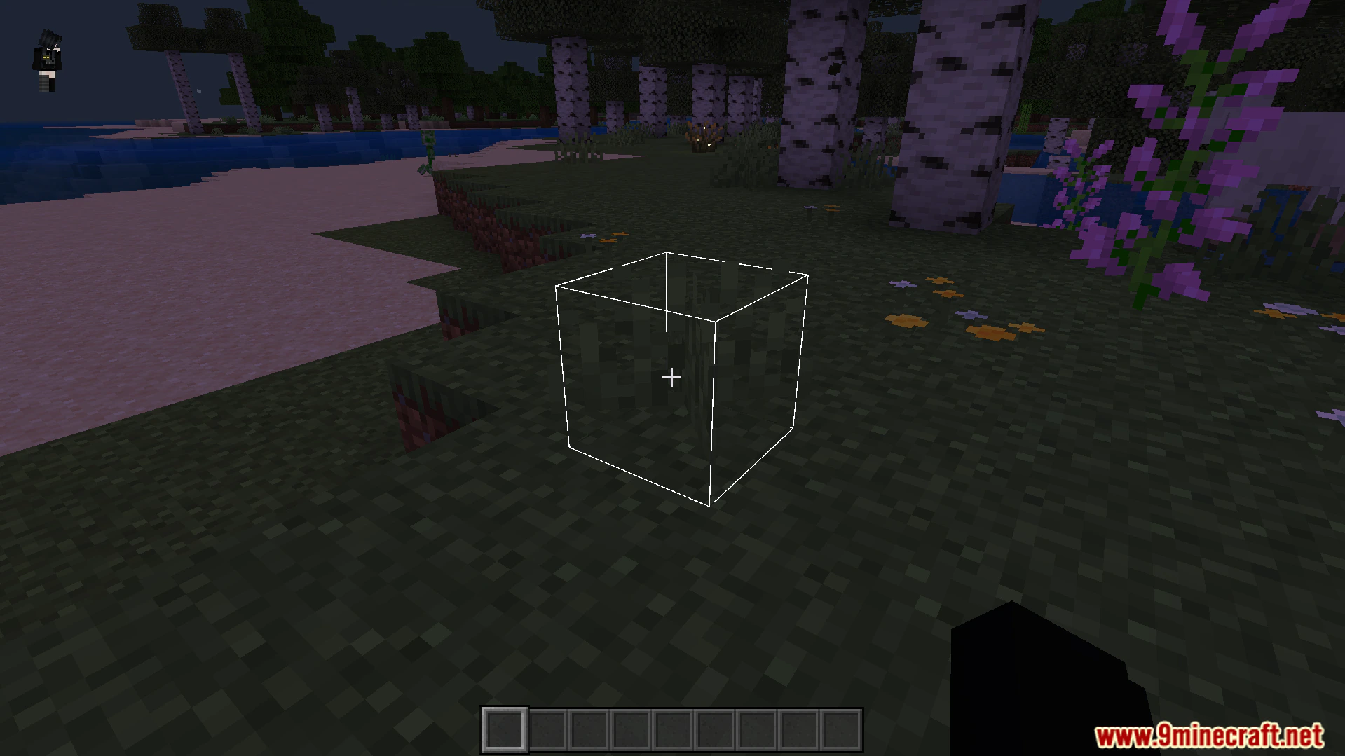 White 3D Outline Texture Pack (26.x, 1.21) – Glowing White Outlines For Blocks And Items — screenshot 2