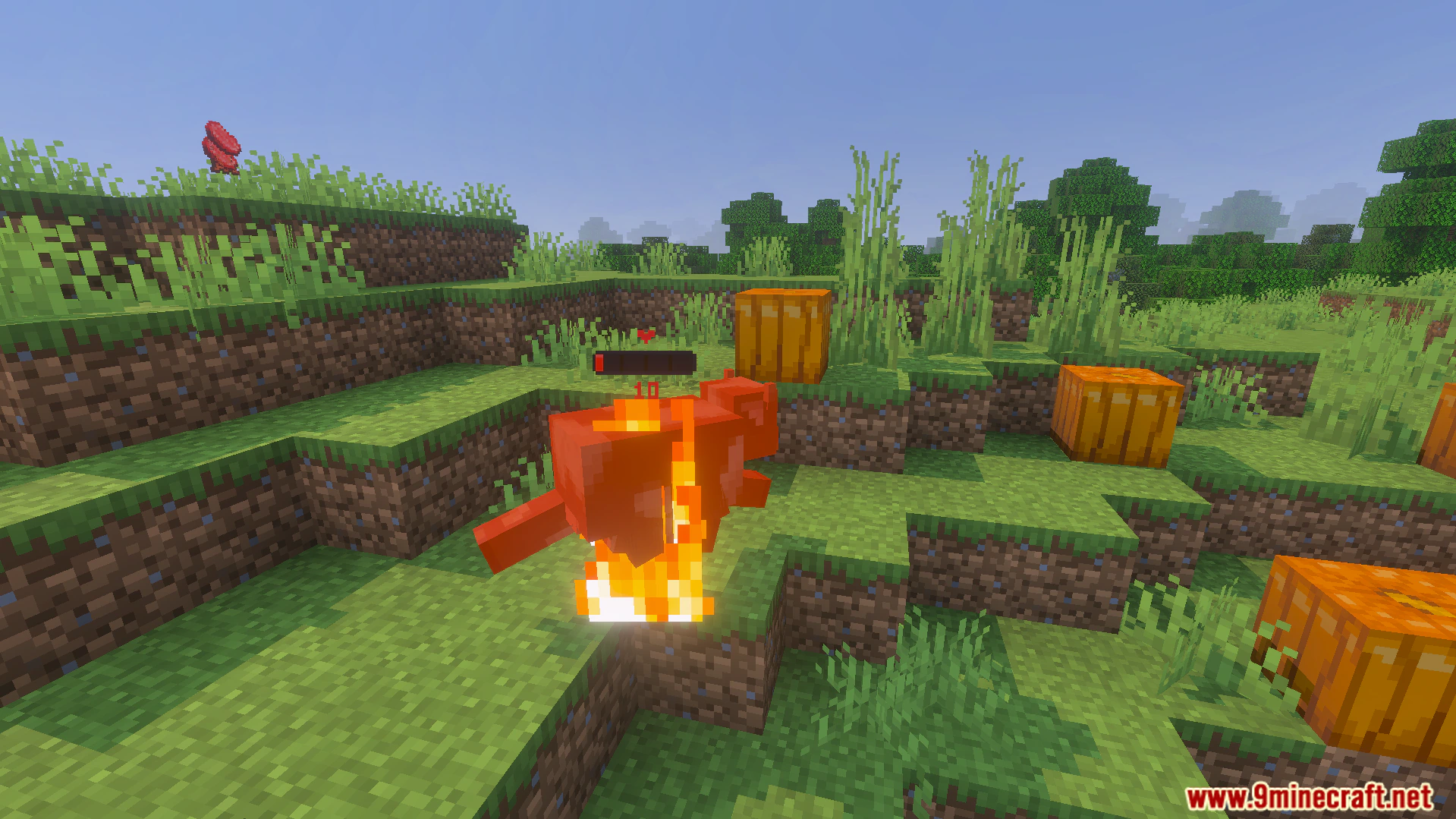Health Bar Indicator Texture Pack (26.x) – Show Real Time Health Bars Above Mobs — screenshot 1