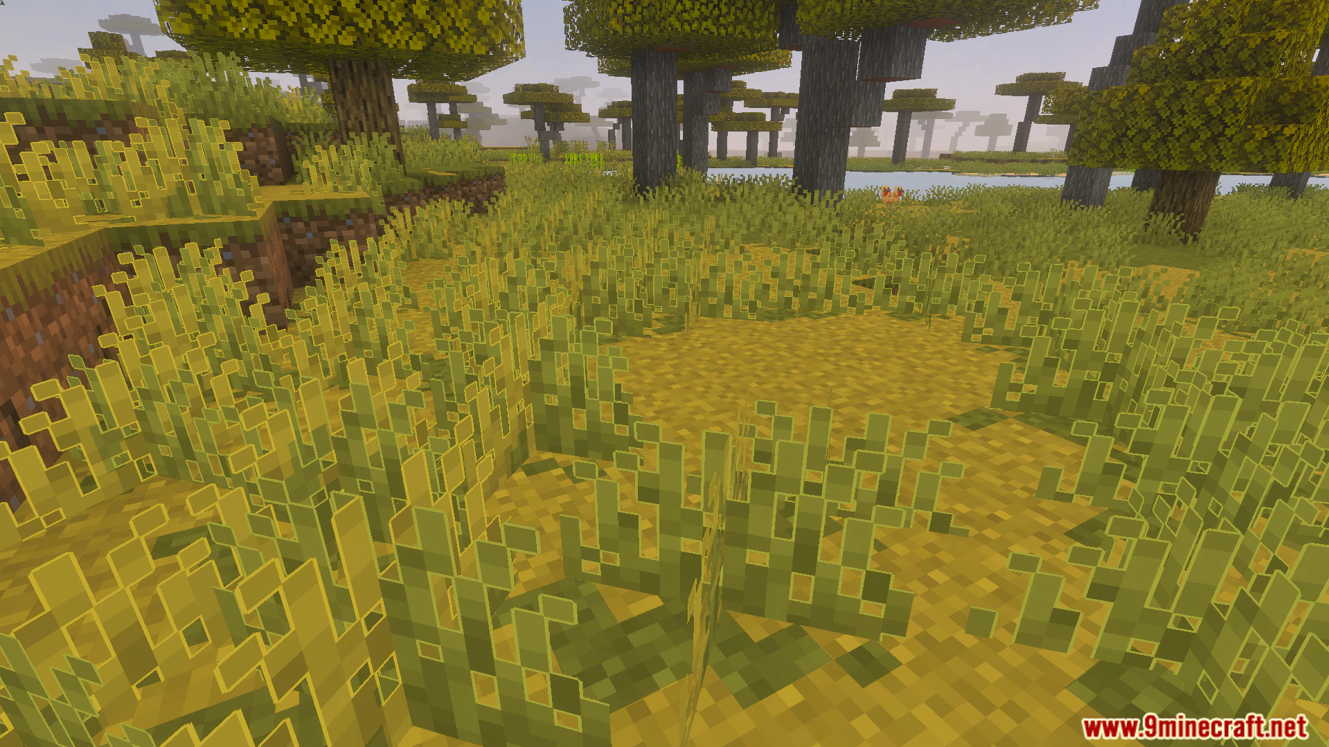 Outlined Grass Texture Pack (26.x, 1.21) – Clean White Outlines For Plants And Planks — screenshot 2