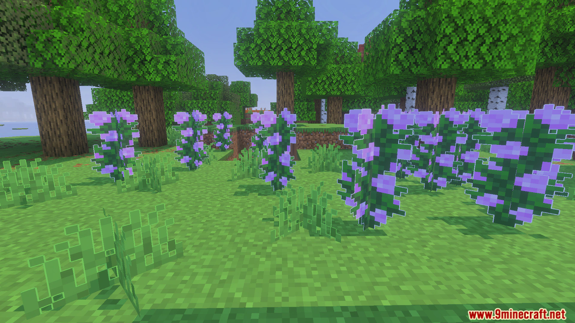 Outlined Grass Texture Pack (26.x, 1.21) – Clean White Outlines For Plants And Planks — screenshot 3