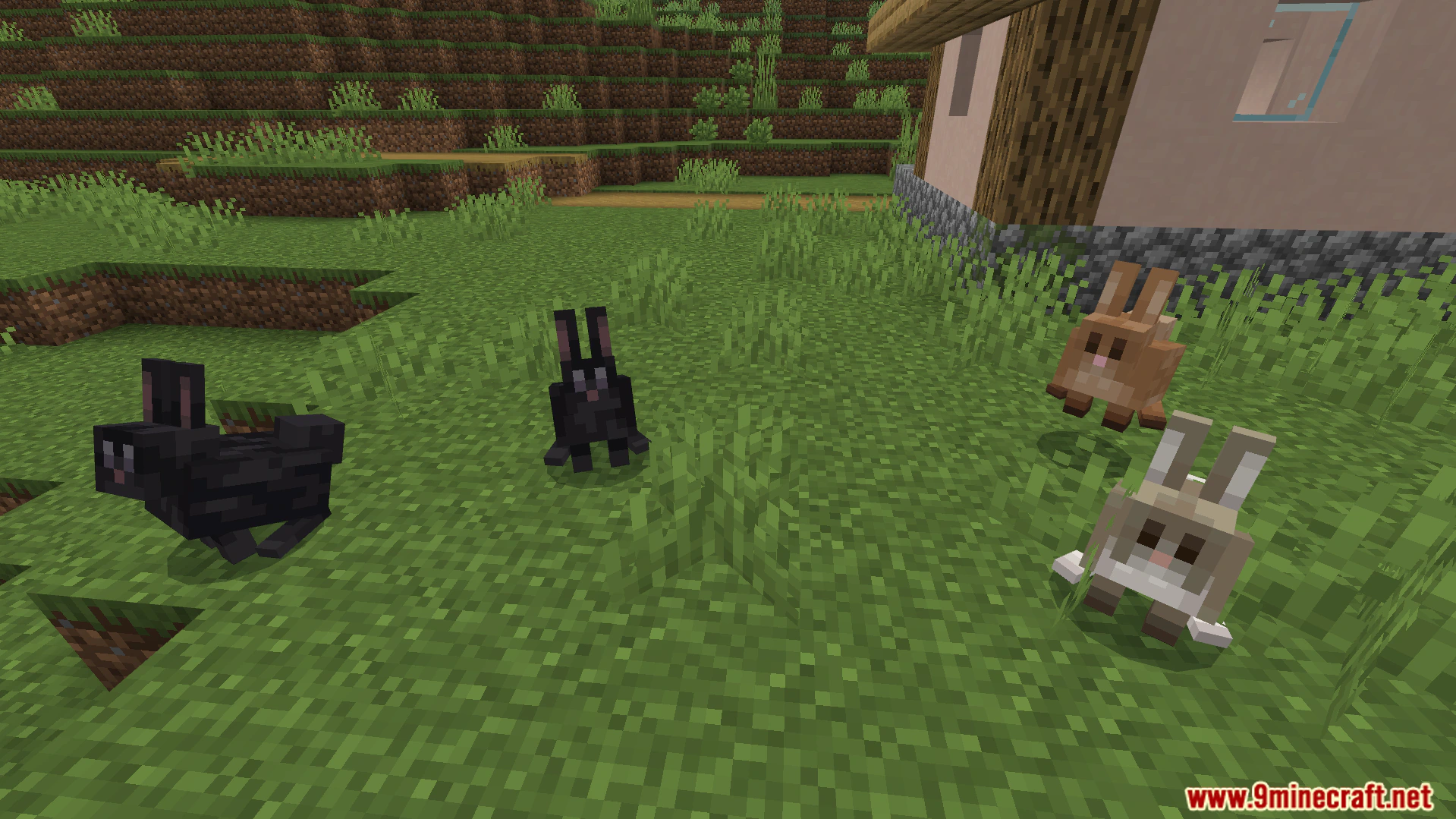 Better Farm Animals Texture Pack (26.x, 1.21) – Realistic Custom Models For Farm Animals — screenshot 8