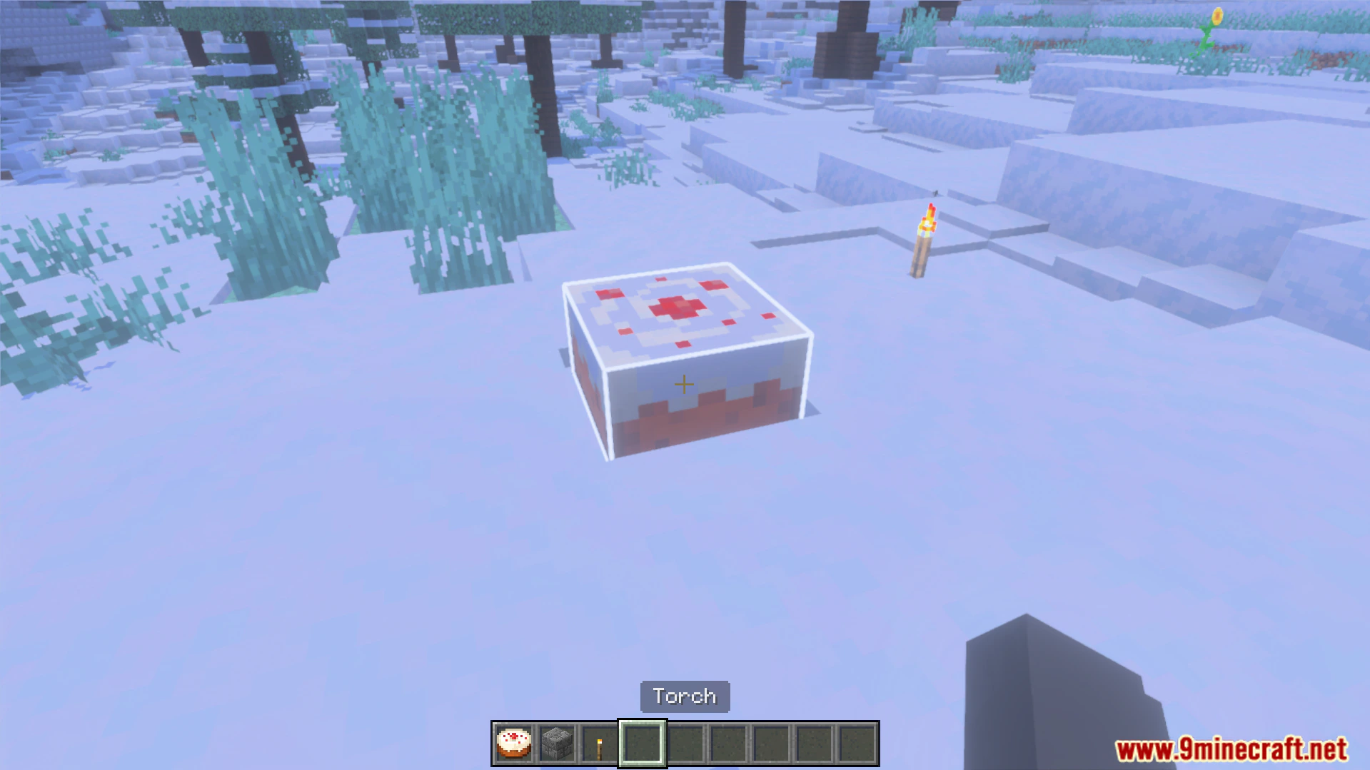 White Outline Selection Plus Texture Pack (26.x, 1.21) – Bright White Selection — screenshot 7