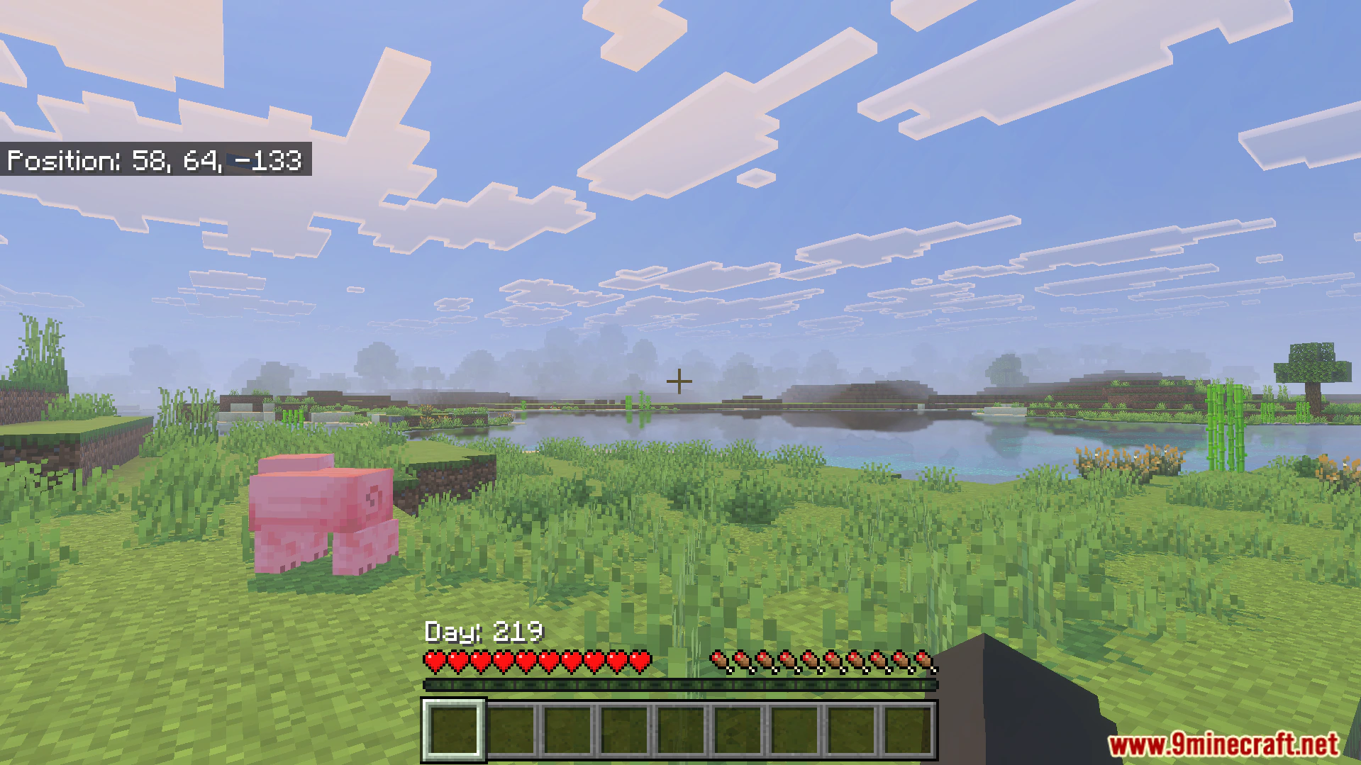 Better Days Played Texture Pack (26.x) – Move Coordinates And Days — screenshot 3
