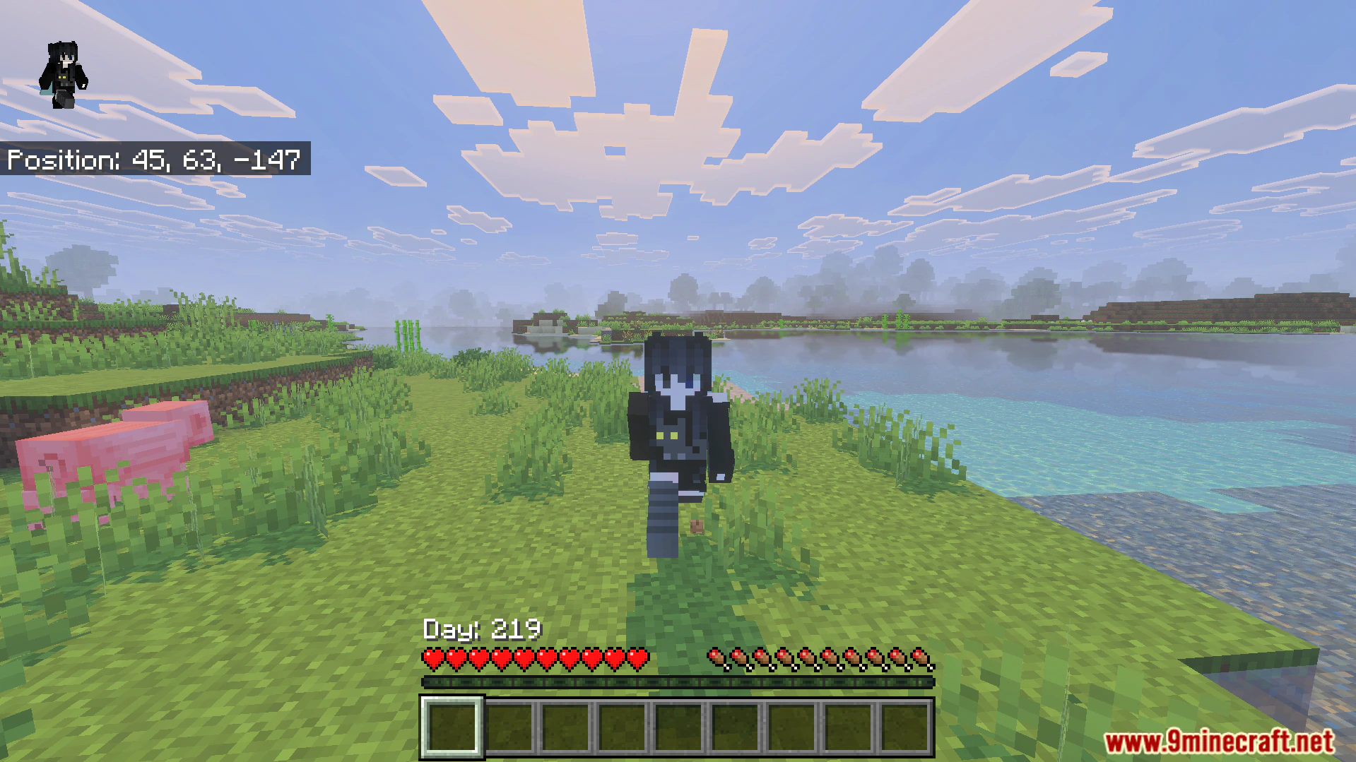 Better Days Played Texture Pack (26.x) – Move Coordinates And Days — screenshot 4