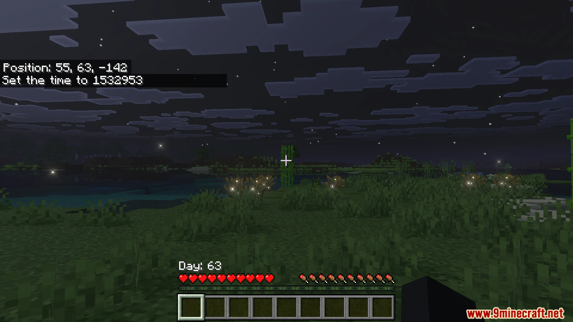 Better Days Played Texture Pack (26.x) – Move Coordinates And Days — screenshot 5