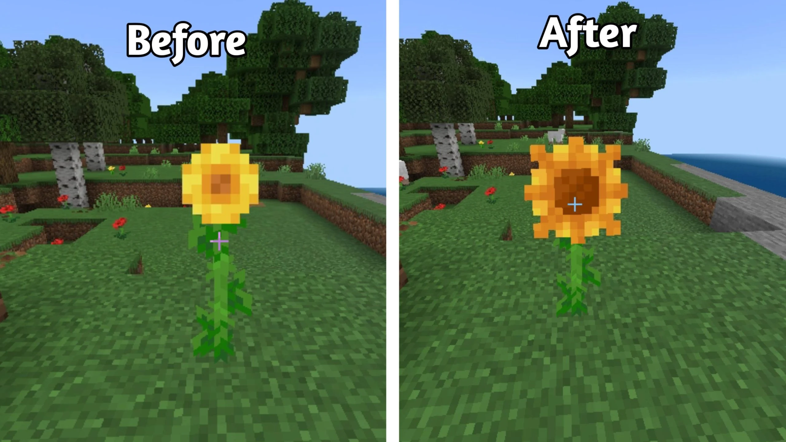 Round Nature Texture Pack (26.x, 1.21) – MCPE/Bedrock — screenshot 2