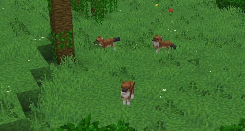 Acidul's Wolves Texture Pack (26.x, 1.21) – MCPE/Bedrock — screenshot 6