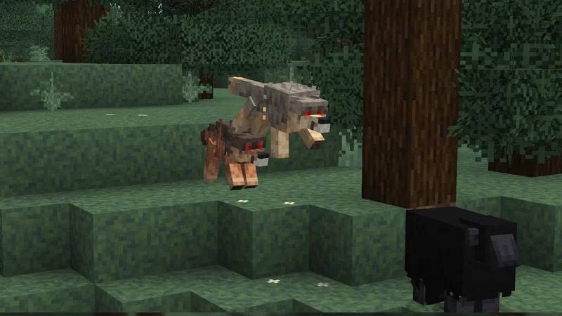Acidul's Wolves Texture Pack (26.x, 1.21) – MCPE/Bedrock — screenshot 8