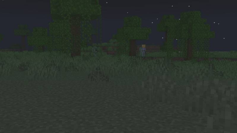 Night Vision Universal Texture Pack (26.x, 1.21) – MCPE/Bedrock — screenshot 6
