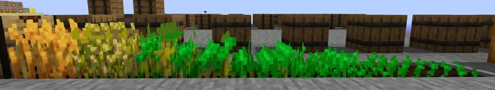 Short Golden Wheat Texture Pack (26.x, 1.21) – MCPE/Bedrock — screenshot 1