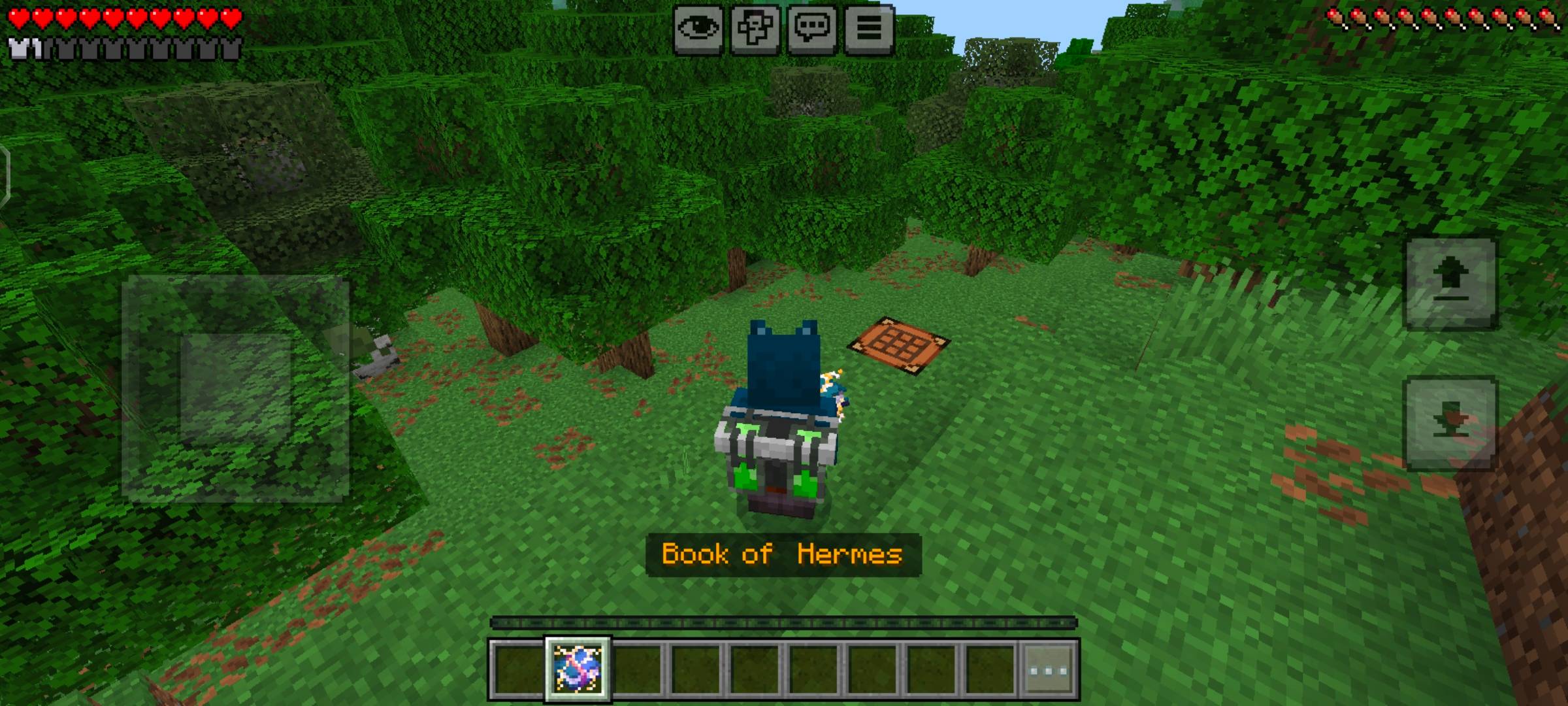 Sky Dash Addon (26.x, 1.21) – MCPE/Bedrock Mod — screenshot 2