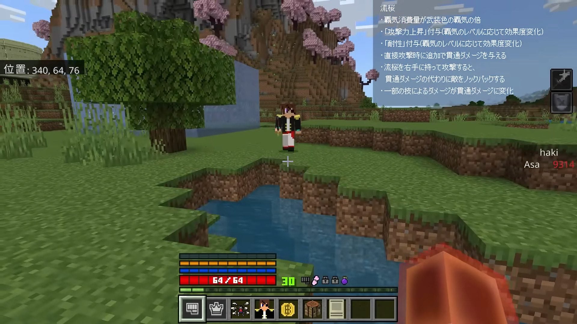 Asa's One Piece Addon (1.26+, 26.32) – MCPE/Bedrock Mod — screenshot 1