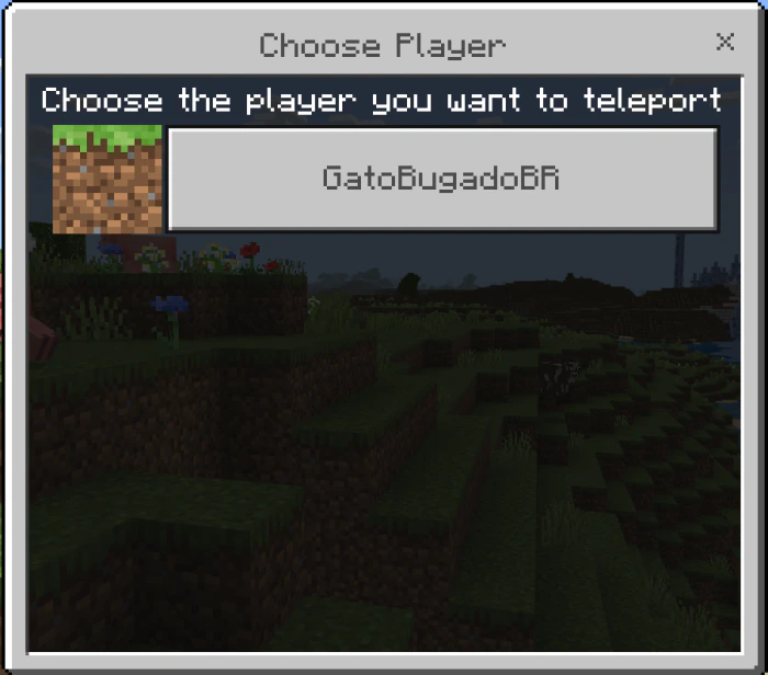 Teleport Potion Addon (26.x, 1.21) – Teleport To Your Friends — screenshot 2