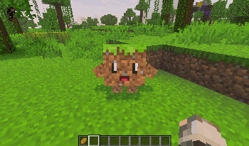 Block Pets Addon (26.x, 1.21) – MCPE/Bedrock Mod — screenshot 5